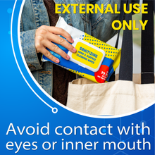 Load image into Gallery viewer, Disposable Sanitizing Wipes