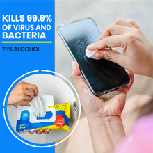 Load image into Gallery viewer, Disposable Sanitizing Wipes