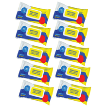 Load image into Gallery viewer, Disposable Sanitizing Wipes